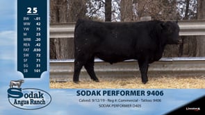 Lot #25 - SODAK PERFORMER 9406