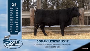 Lot #24 - SODAK LEGEND 9317