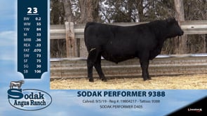 Lot #23 - SODAK PERFORMER 9388