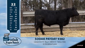 Lot #22 - SODAK PAYDAY 9382
