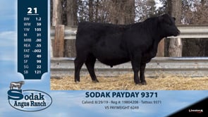 Lot #21 - SODAK PAYDAY 9371
