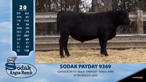 Lot #20 - SODAK PAYDAY 9369