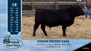 Lot #19 - SODAK PAYDAY 9366