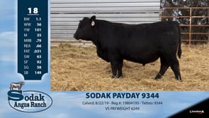 Lot #18 - SODAK PAYDAY 9344