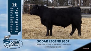 Lot #16 - SODAK LEGEND 9307