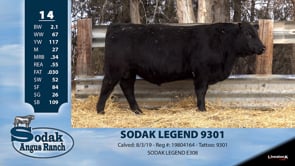 Lot #14 - SODAK LEGEND 9301