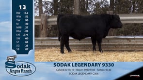 Lot #13 - SODAK LEGENDARY 9330