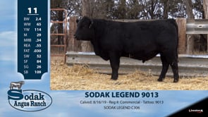 Lot #11 - SODAK LEGEND 9013