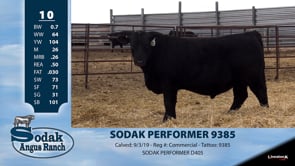 Lot #10 - SODAK PERFORMER 9385
