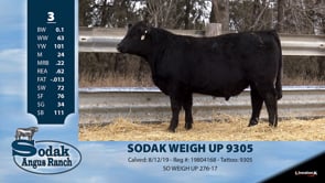 Lot #3 - SODAK WEIGH UP 9305