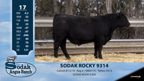 Lot #17 - SODAK ROCKY 9314