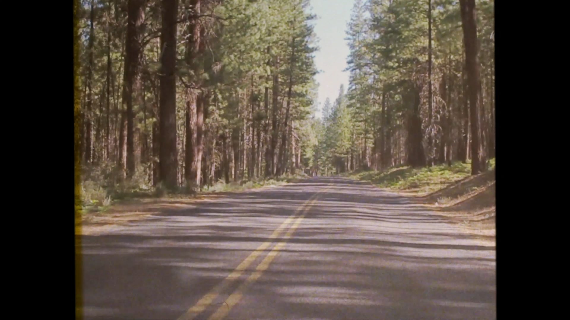 Summer Road Trip Bumper