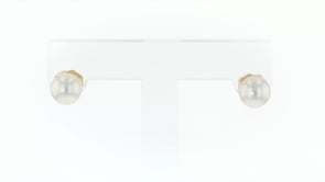 6-7mm Cultured Pearl Stud Earrings in 14kt Yellow Gold