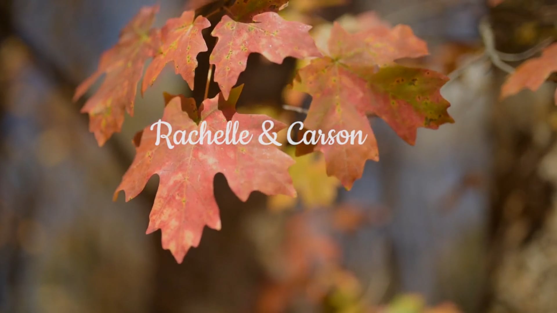 Rachelle and Carson First Look