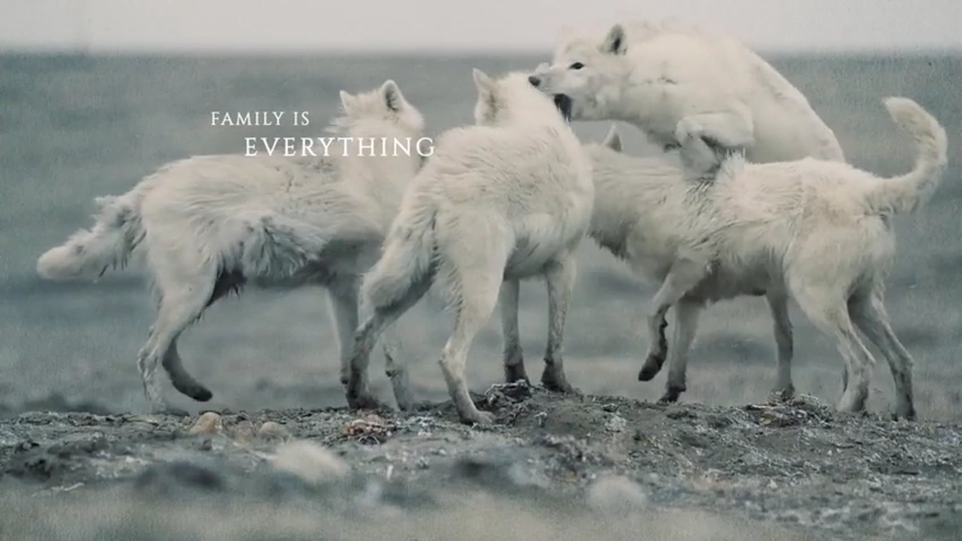 Kingdom of the White Wolf/Nat Geo