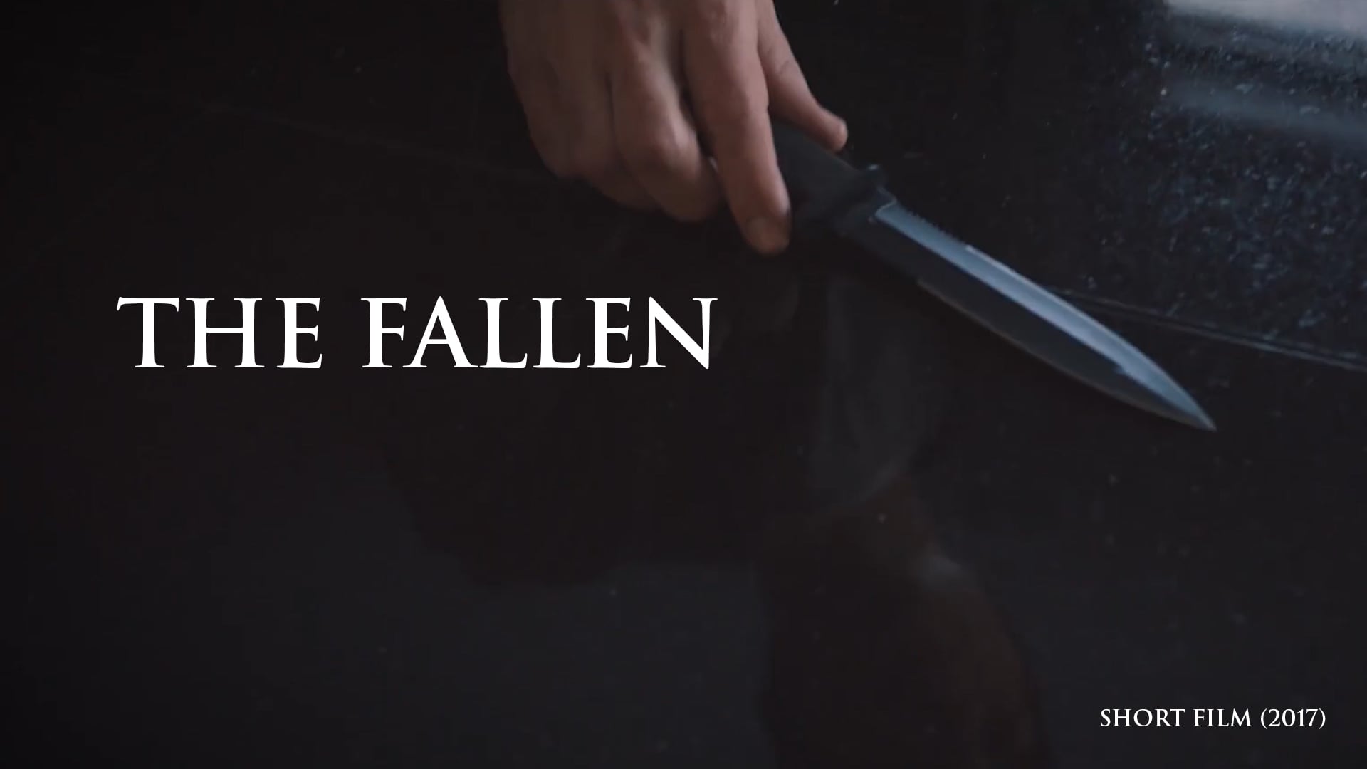 Fallen2K Vimeo