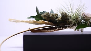 Related Embedded Video Item Thumbnail