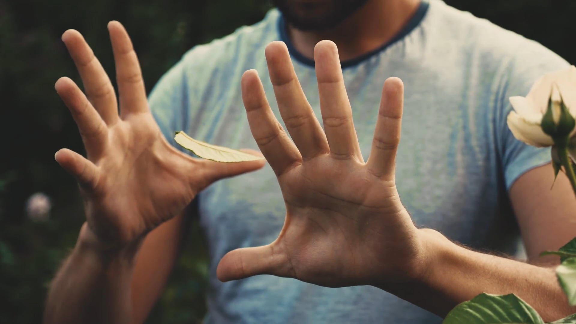 Introduction - The Magical Experience Vol. 1