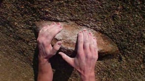 LA CONJURA DE LOS RECIOS