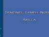 Dr Stephan Ariyan - SENTINEL LYMPH NODES-AXILLA- 8min- 2008