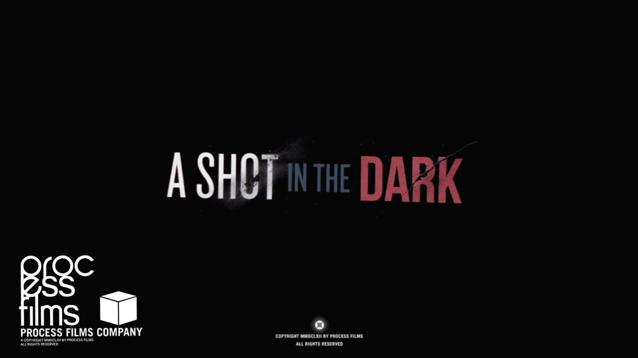 Shot in the dark перевод