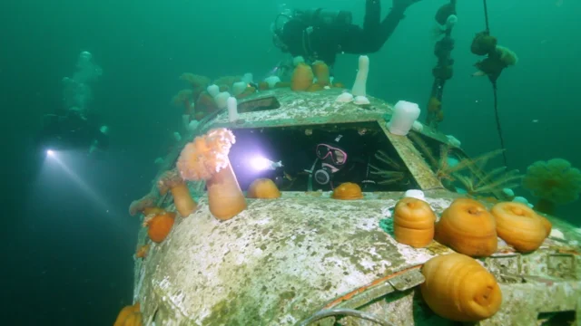 Ukidama: Japanese Fishing Spheres on Haida Gwaii - Crystal Cabin