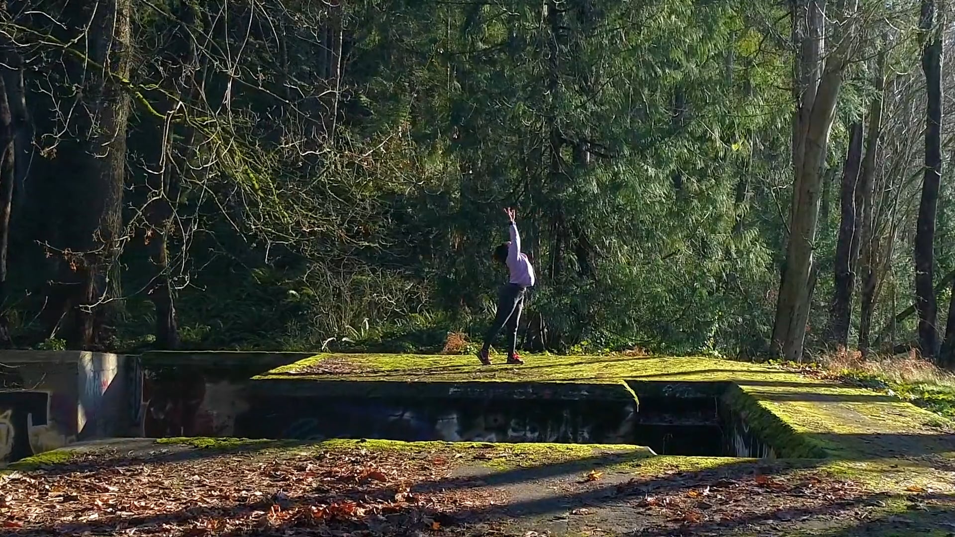 Inside the Artist's Studio  Mary Jane Agnew