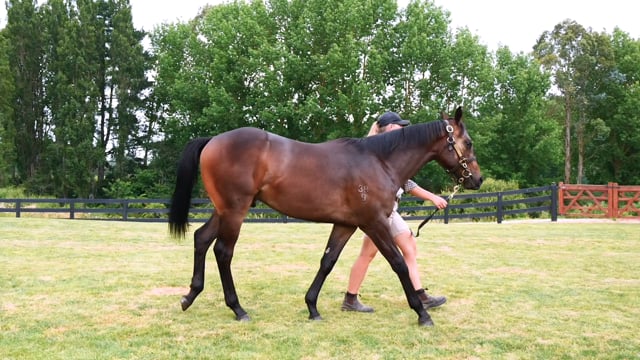 Lot 657