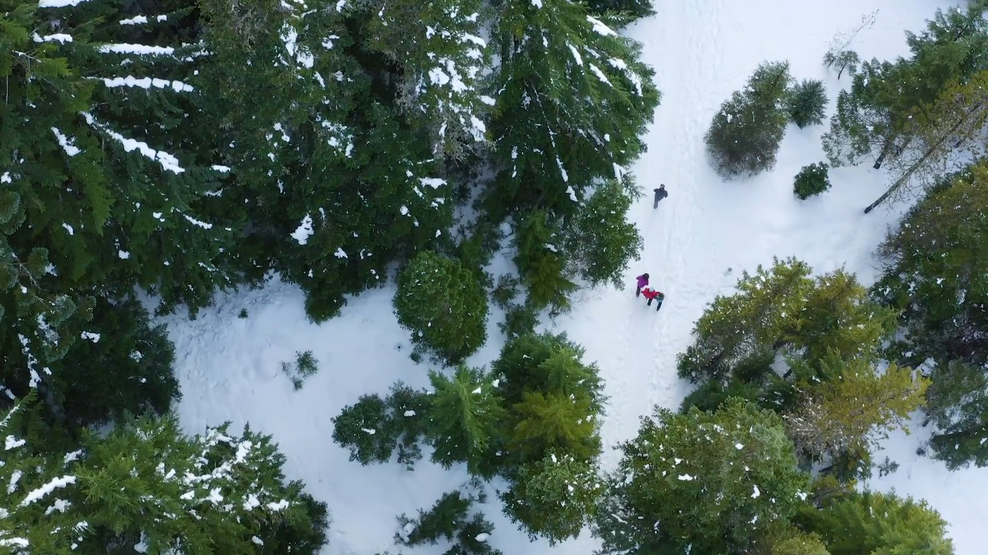 Mt. Hood           Snow Day