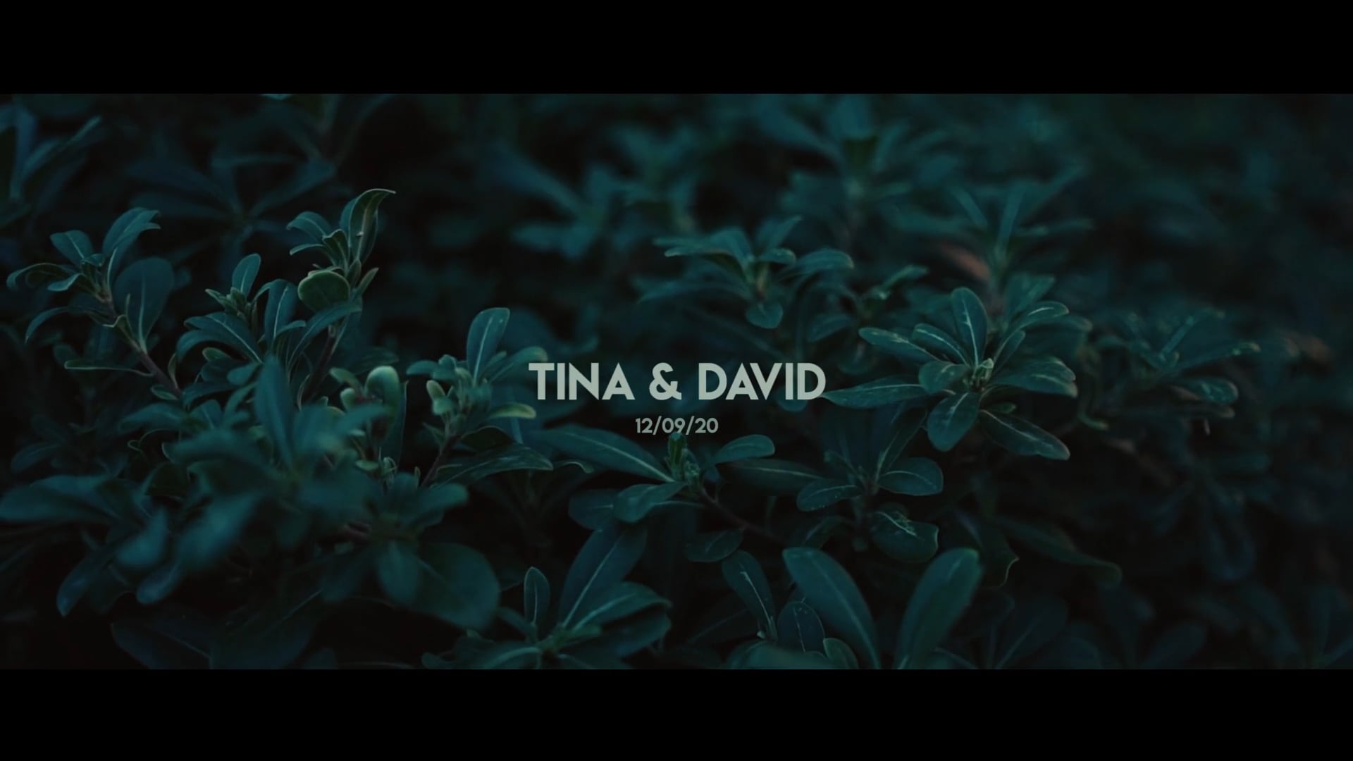 Tina & David (Trailer)