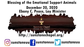 Blessing of the Emotional Support Animals