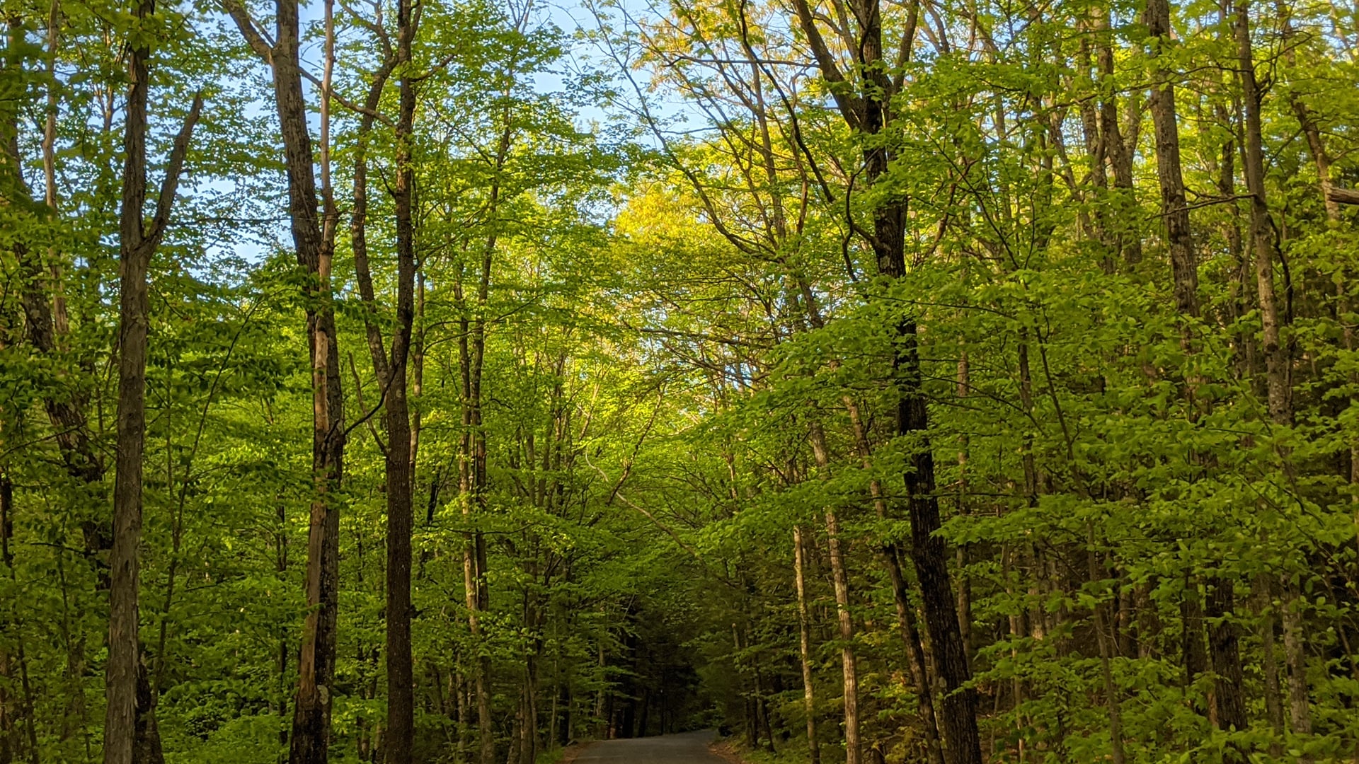 December 29, 2020: Further Exploration of Wise Speech