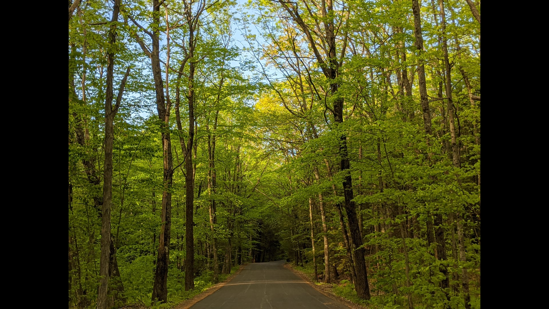 December 29, 2020: Further Exploration of Wise Speech