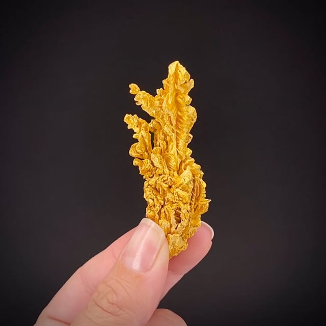 Gold nugget - GOLD23-02 - Yuba River placers area - USA Mineral