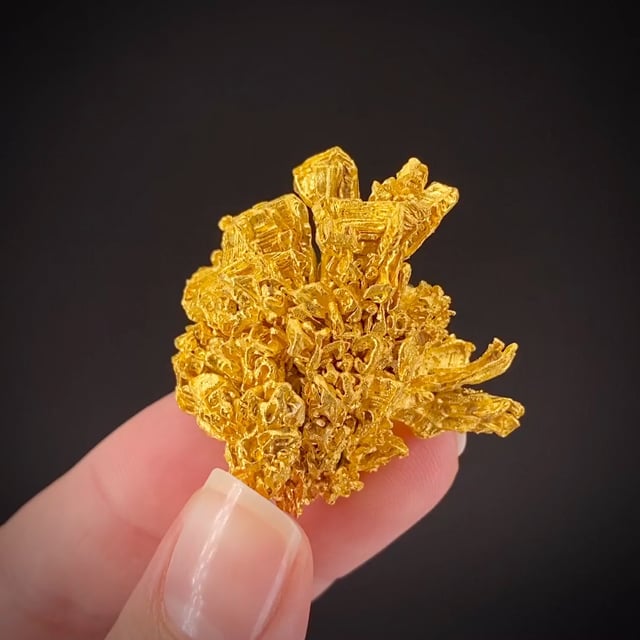 Gold nugget - GOLD23-02 - Yuba River placers area - USA Mineral