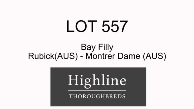 Lot 557