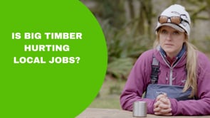 Big Timber’s Impact On Fishing Jobs