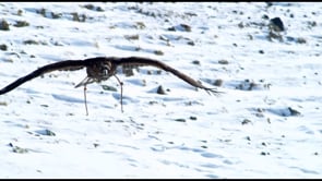 FILMARTI Film's Videos on Vimeo