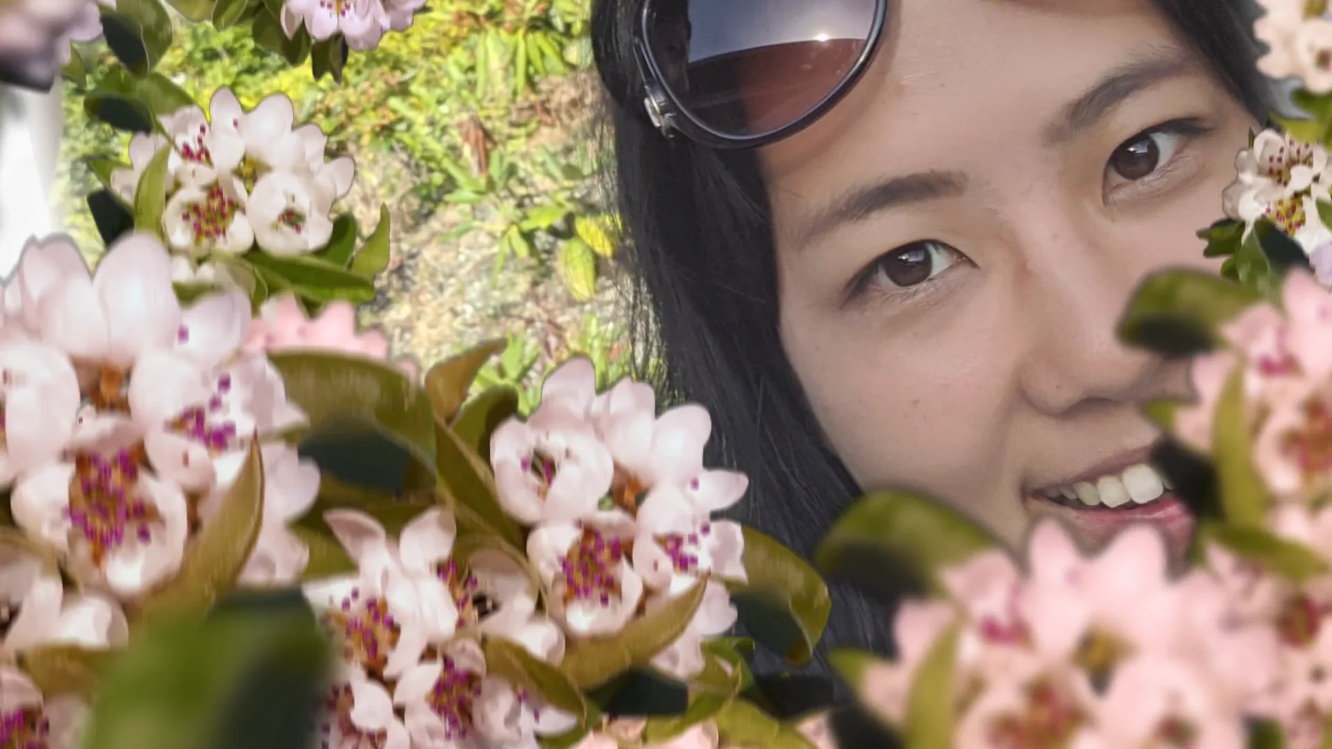 Japan on Vimeo
