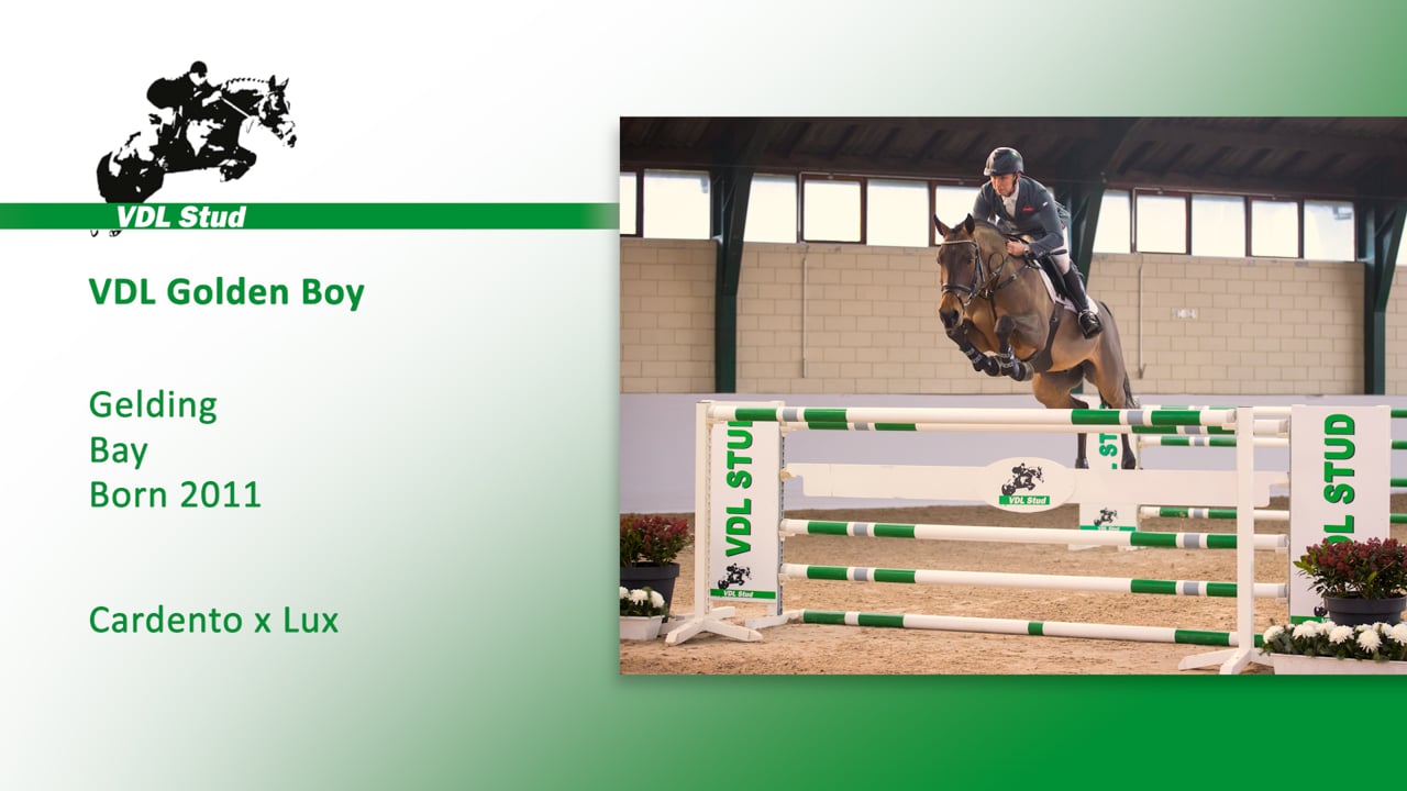 VDL Golden Boy
