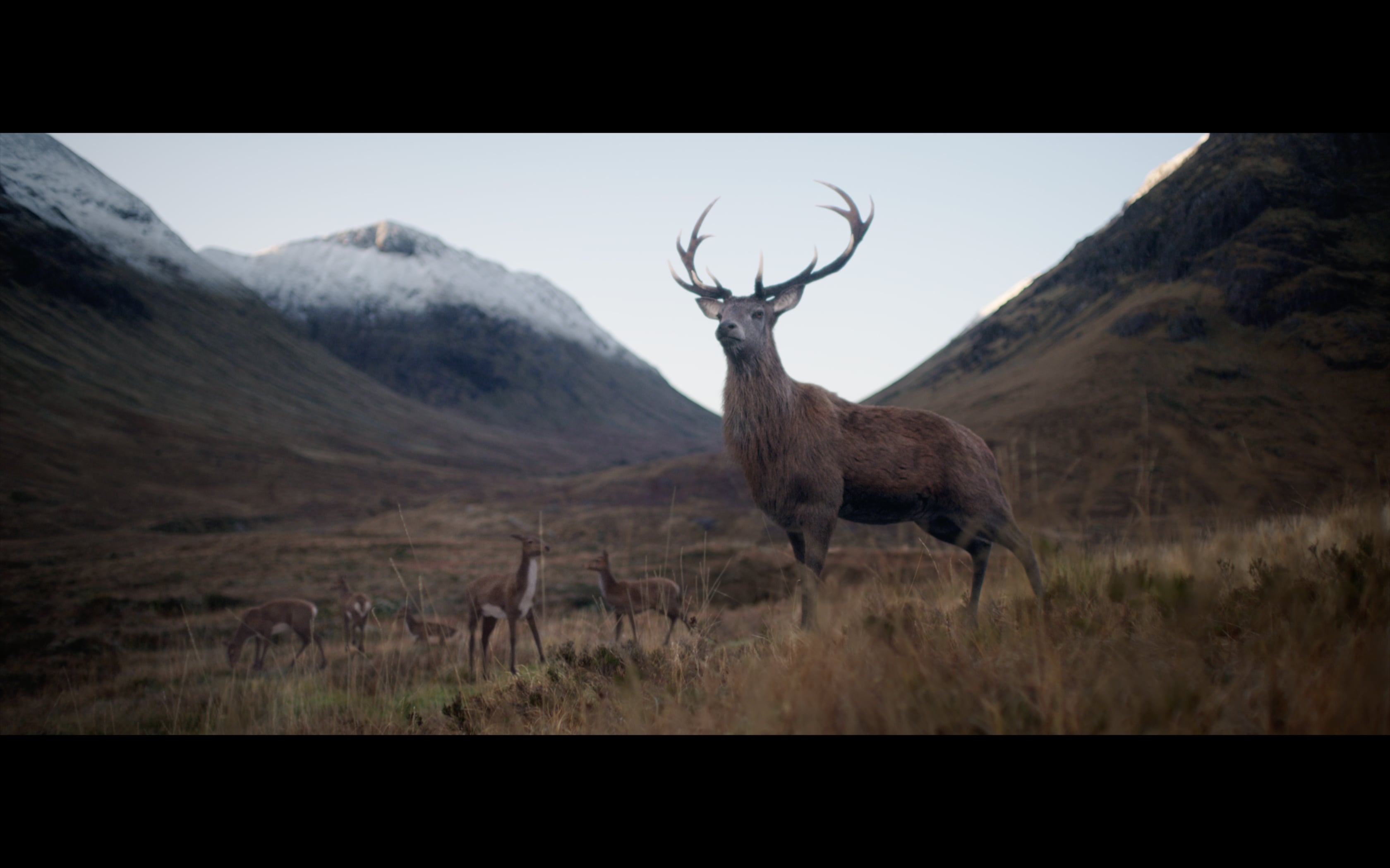 GLENFIDDICH | Philippe André