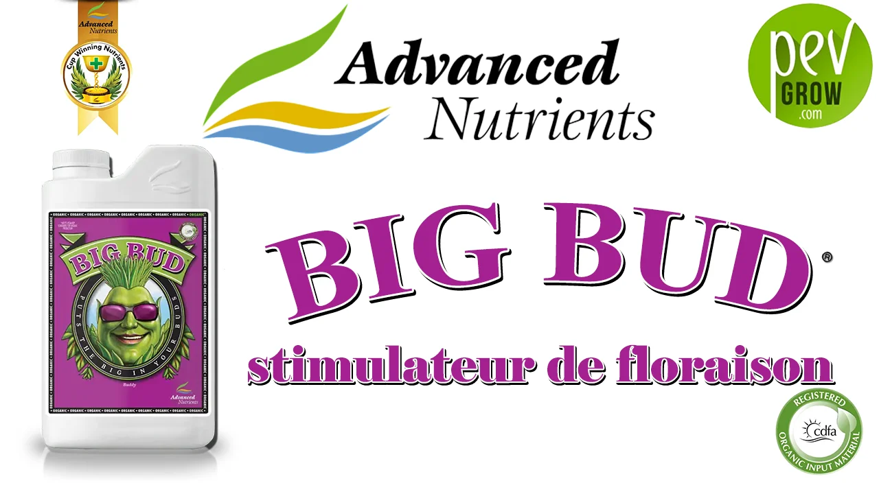 Présentation engrais Big Bud de chez Advanced Nutrient
