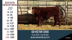 Lot #10 - GR VICTOR 3090