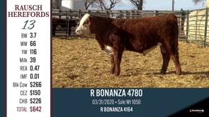 Lot #13 - R BONANZA 4780