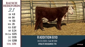 Lot #21 - R ADDITION 6110