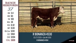 Lot #37 - R BONANZA 4530