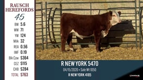 Lot #45 - R NEW YORK 5470