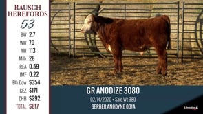 Lot #53 - GR ANODIZE 3080
