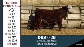 Lot #73 - R 4 EVER 4699