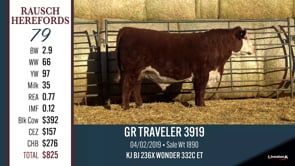 Lot #79 - GR TRAVELER 3919